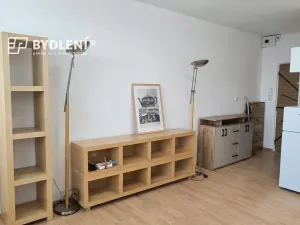Pronájem bytu 1+kk, Ústí nad Labem, Hoření, 22 m2