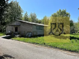 Prodej skladu, Benátky nad Jizerou - Benátky nad Jizerou II, Průmyslová, 7300 m2