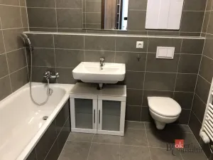 Pronájem bytu 2+kk, Praha - Žižkov, Olgy Havlové, 47 m2