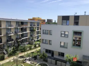 Pronájem bytu 2+kk, Praha - Žižkov, Olgy Havlové, 47 m2