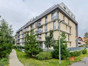 Pronájem bytu 2+kk, Praha - Žižkov, Olgy Havlové, 48 m2