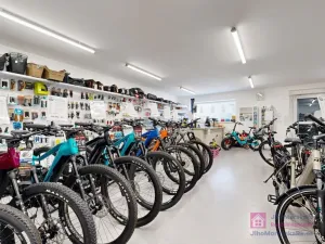 Prodej obchodního prostoru, Březí, Hlavní, 639 m2