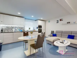 Prodej obchodního prostoru, Březí, Hlavní, 639 m2