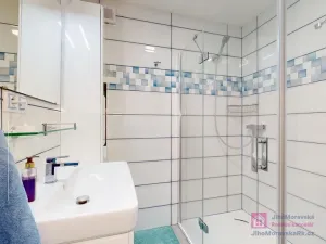 Prodej obchodního prostoru, Březí, Hlavní, 639 m2