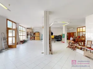 Prodej obchodního prostoru, Březí, Hlavní, 639 m2