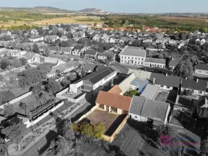 Prodej obchodního prostoru, Březí, Hlavní, 639 m2