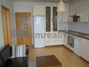 Pronájem bytu 2+kk, Praha - Strašnice, Michelangelova, 46 m2