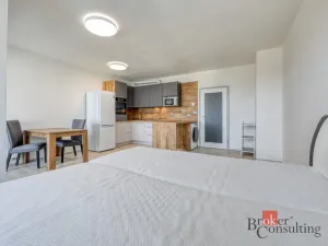 Pronájem bytu 1+kk, Plzeň - Jižní Předměstí, Boettingerova, 36 m2