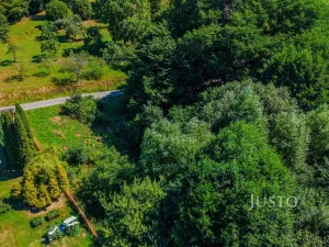 Prodej pozemku pro bydlení, Železný Brod - Bzí, 1086 m2