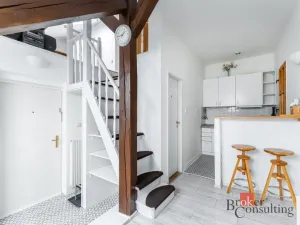 Pronájem bytu 1+kk, Praha - Nové Město, Vladislavova, 26 m2