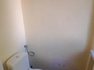 Pronájem bytu 3+1, Ostrava, Dělnická, 77 m2