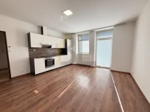 Pronájem bytu 1+kk, Hodonín, Nádražní řádek, 35 m2
