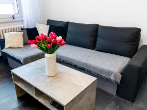 Prodej bytu 1+kk, Český Těšín, Ostravská, 31 m2
