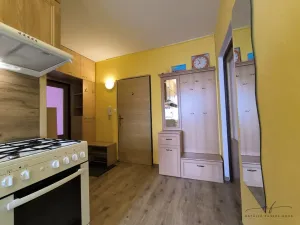 Pronájem bytu 2+1, Sokolov, Závodu míru, 55 m2