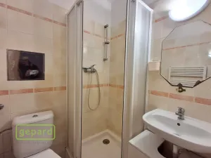 Pronájem bytu 1+kk, Horoměřice, Politických vězňů, 21 m2
