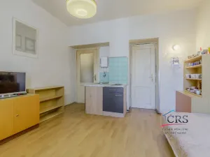 Prodej bytu 1+1, Praha - Bubeneč, Jugoslávských partyzánů, 46 m2