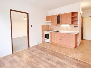 Pronájem bytu 1+1, Písek - Budějovické Předměstí, třída Přátelství, 38 m2