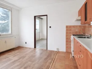 Pronájem bytu 1+1, Písek - Budějovické Předměstí, třída Přátelství, 38 m2