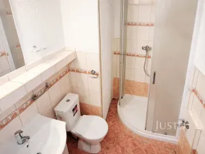 Pronájem bytu 1+1, Písek - Budějovické Předměstí, třída Přátelství, 38 m2