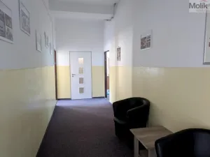 Pronájem kanceláře, Teplice, Novosedlická, 18 m2