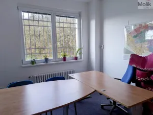 Pronájem kanceláře, Teplice, Novosedlická, 36 m2
