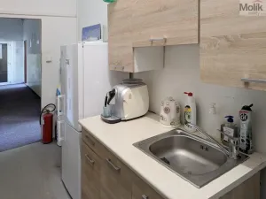 Pronájem kanceláře, Teplice, Novosedlická, 36 m2