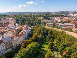 Prodej bytu 2+kk, Praha - Nusle, Oldřichova, 50 m2