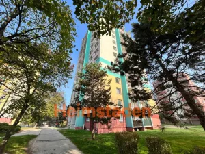 Pronájem bytu 3+1, Orlová - Lutyně, Masarykova třída, 68 m2