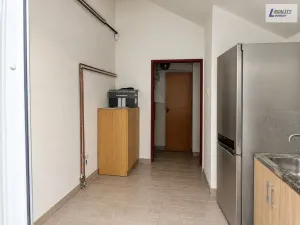 Prodej komerční nemovitosti, Svatý Jan - Bražná, 420 m2
