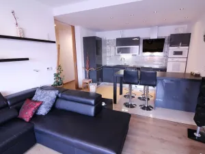 Pronájem bytu 2+kk, Brno - Černovice, Spáčilova, 58 m2