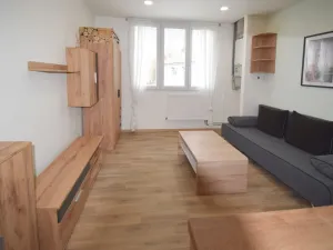 Pronájem bytu 1+kk, Úněšov, 20 m2