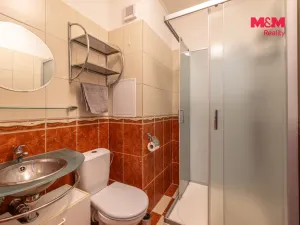 Pronájem bytu 1+1, Rozvadov, 38 m2