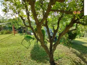 Prodej chaty, Křešice, 55 m2