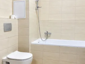 Pronájem bytu 2+kk, Plzeň - Jižní Předměstí, Poděbradova, 46 m2