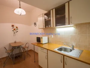 Pronájem kanceláře, Hradec Králové - Slezské Předměstí, Bieblova, 17 m2