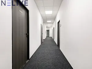 Pronájem kanceláře, Plzeň, Tylova, 42 m2