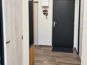 Prodej bytu 3+1, Dlouhá Loučka, Újezdská, 82 m2