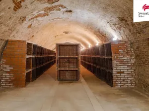 Prodej rodinného domu, Jiřice u Miroslavi, 662 m2