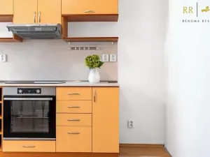 Pronájem bytu 1+1, Brno, Slovákova, 45 m2