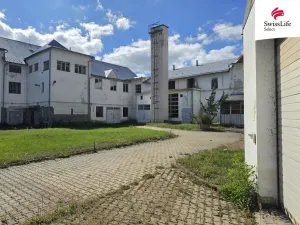 Pronájem skladu, Batelov, Tovární, 10000 m2