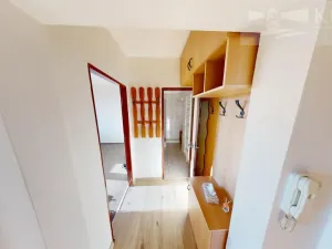 Pronájem bytu 1+1, Příbram, Čechovská, 36 m2