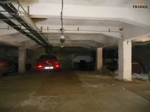 Prodej výrobních prostor, Stružinec, 10029 m2