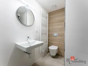 Pronájem bytu 1+kk, Olomouc - Nová Ulice, Třída Jiřího Pelikána, 31 m2