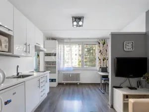 Prodej bytu 1+1, Praha - Chodov, Brodského, 29 m2