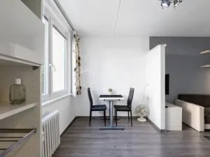 Prodej bytu 1+1, Praha - Chodov, Brodského, 29 m2