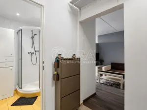 Prodej bytu 1+1, Praha - Chodov, Brodského, 29 m2