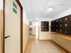 Prodej bytu 1+1, Praha - Chodov, Brodského, 29 m2