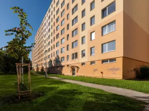 Prodej bytu 1+1, Praha - Chodov, Brodského, 29 m2