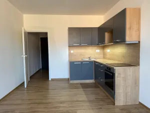 Pronájem bytu 1+kk, Ústí nad Labem, Velká Hradební, 30 m2