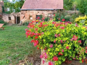 Prodej rodinného domu, Brumovice, 140 m2